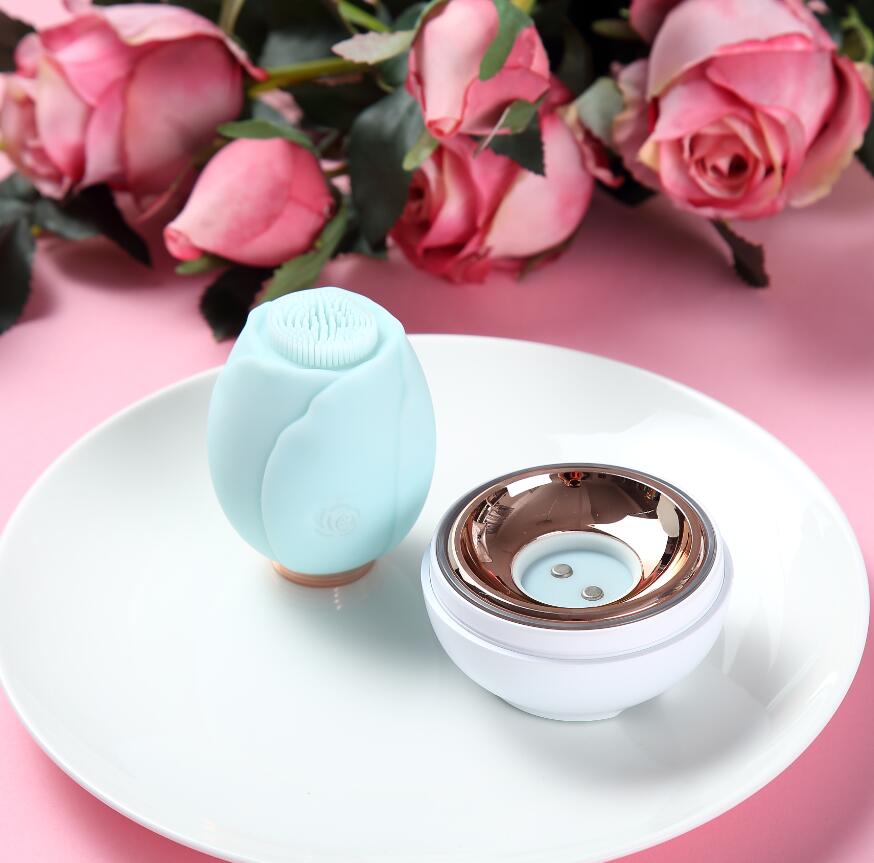 Face Cleanser Brush USB Rechargeable Rose Shape Cleansing Instrument